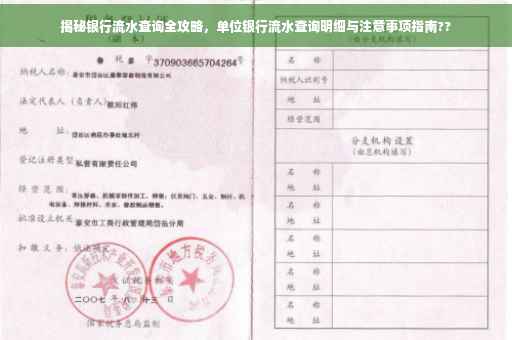 揭秘银行流水查询全攻略，单位银行流水查询明细与注意事项指南??