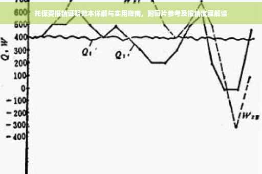 托保费报销证明范本详解与实用指南，附图片参考及报销流程解读