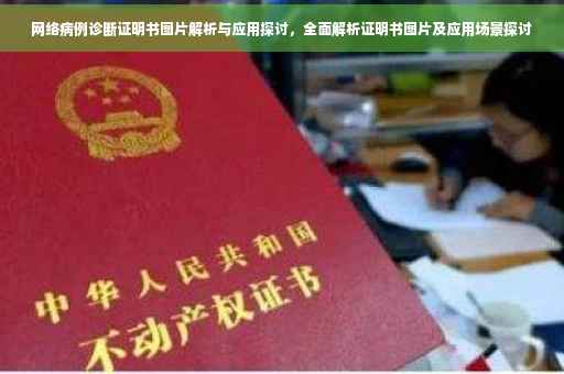 网络病例诊断证明书图片解析与应用探讨，全面解析证明书图片及应用场景探讨