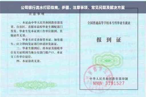 公司银行流水打印指南，步骤、注意事项、常见问题及解决方案