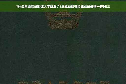 ?什么东西能证明你大学毕业了?毕业证明书和毕业证长得一样吗⚡️