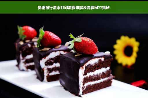 揭阳银行流水打印流程详解及流程图??揭秘