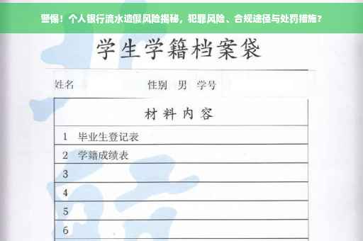 警惕！个人银行流水造假风险揭秘，犯罪风险、合规途径与处罚措施?