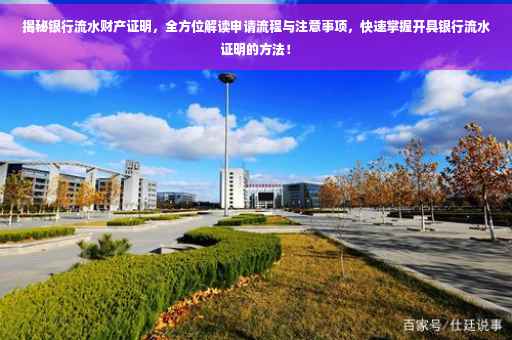 揭秘银行流水财产证明，全方位解读申请流程与注意事项，快速掌握开具银行流水证明的方法！