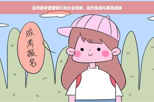 深圳律师调查银行流水全攻略，操作指南与费用揭秘