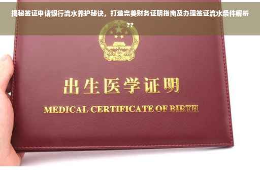 揭秘签证申请银行流水养护秘诀，打造完美财务证明指南及办理签证流水条件解析??