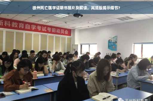 徐州死亡医学证明书图片及解读，高清版揭示细节?