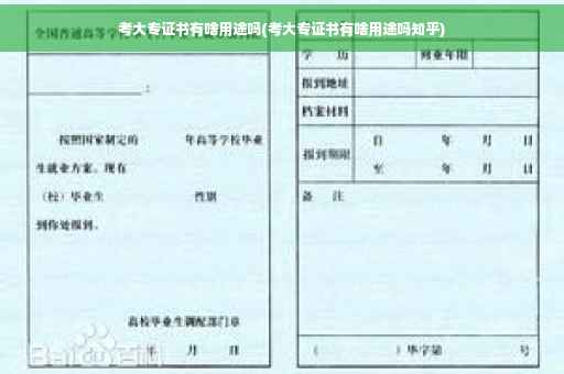 考大专证书有啥用途吗(考大专证书有啥用途吗知乎)