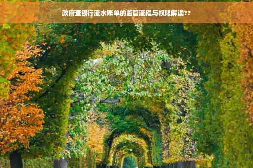 政府查银行流水账单的监管流程与权限解读??