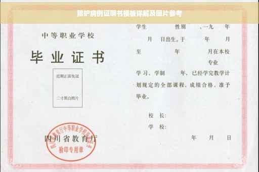 陪护病例证明书模板详解及图片参考