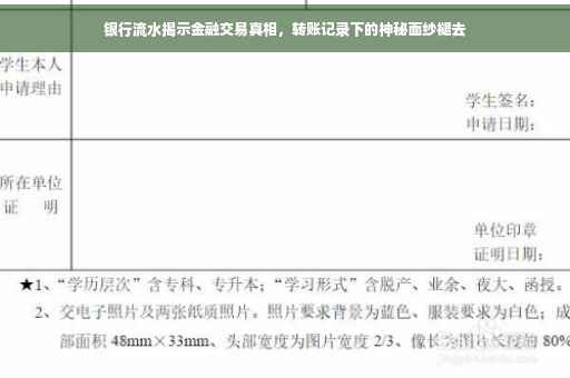 银行流水揭示金融交易真相，转账记录下的神秘面纱褪去