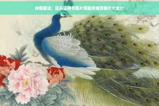 详细解读，征兵证明书图片领取指南及图片大全??