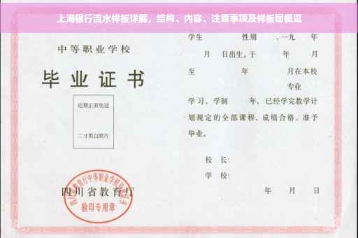 上海银行流水样板详解，结构、内容、注意事项及样板图概览