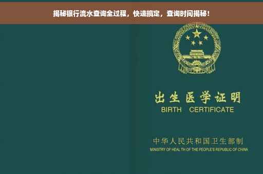 揭秘银行流水查询全过程，快速搞定，查询时间揭秘！