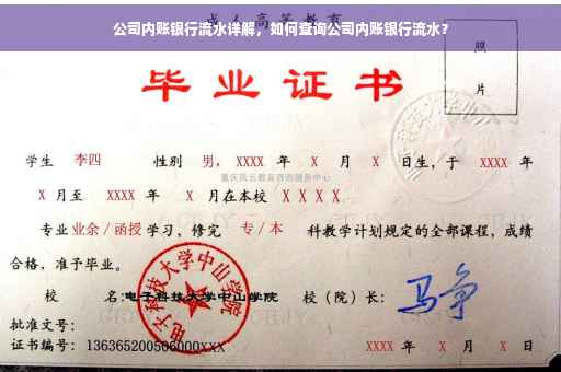 公司内账银行流水详解，如何查询公司内账银行流水？