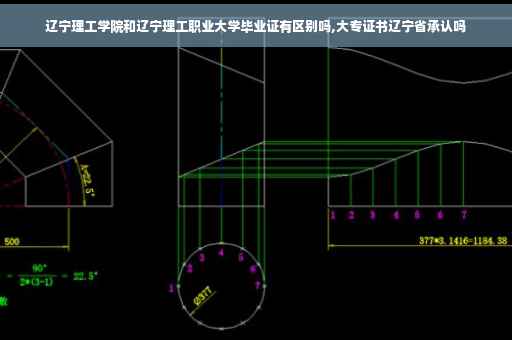 辽宁理工学院和辽宁理工职业大学毕业证有区别吗,大专证书辽宁省承认吗