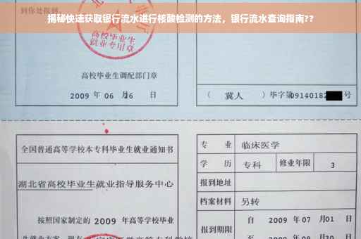 揭秘快速获取银行流水进行核酸检测的方法，银行流水查询指南??