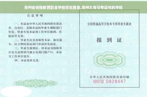 贵州省特殊教育职业学校招生简章,贵州大专可考证书的学校