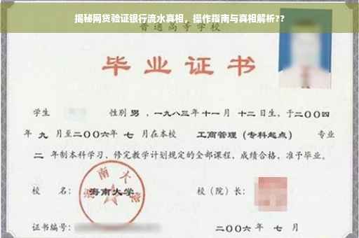揭秘网贷验证银行流水真相，操作指南与真相解析??