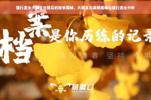银行流水大额支出背后的故事揭秘，大额支出真相揭秘与银行流水分析