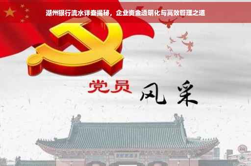 湖州银行流水详查揭秘，企业资金透明化与高效管理之道