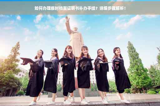 如何办理临时档案证明书补办手续？详细步骤解析！