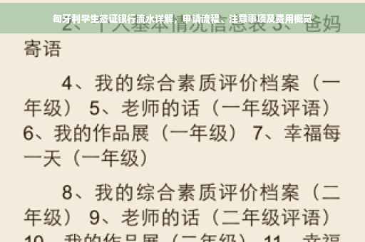 匈牙利学生签证银行流水详解，申请流程、注意事项及费用概览