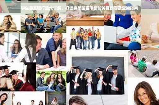 学生美签银行流水详解，打造完美签证申请的关键步骤及查询指南