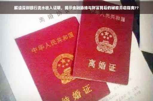 解读深圳银行流水收入证明，揭示金融脉络与财富背后的秘密开启指南??