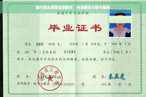 银行流水明细全面解析，内容概览与细节揭秘