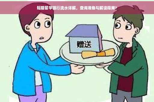 短期留学银行流水详解，查询准备与解读指南?