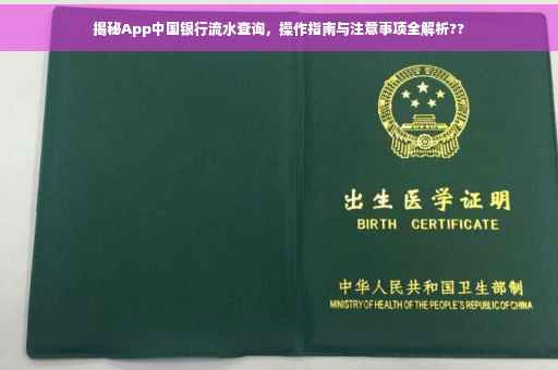 揭秘App中国银行流水查询，操作指南与注意事项全解析??