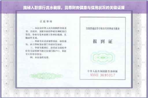 揭秘入职银行流水截图，洞悉财务健康与信用状况的关键证据