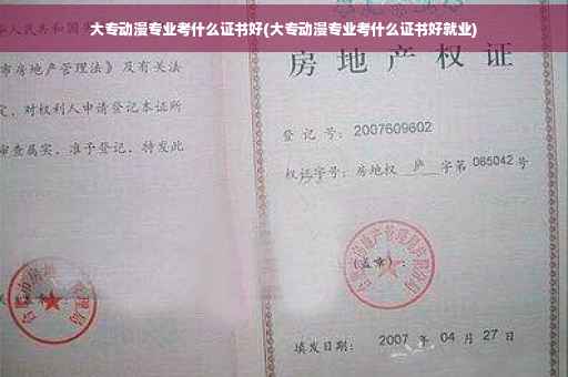 大专动漫专业考什么证书好(大专动漫专业考什么证书好就业)