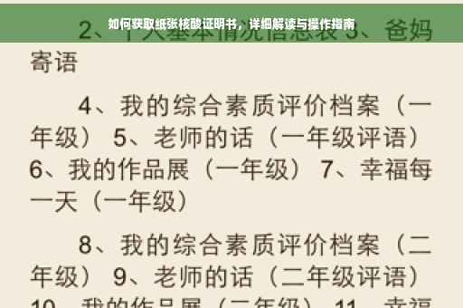 如何获取纸张核酸证明书，详细解读与操作指南