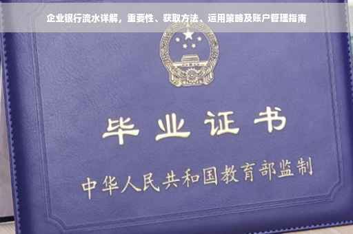 企业银行流水详解，重要性、获取方法、运用策略及账户管理指南