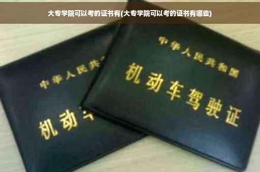 大专学院可以考的证书有(大专学院可以考的证书有哪些)