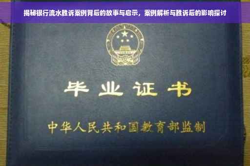 揭秘银行流水胜诉案例背后的故事与启示，案例解析与胜诉后的影响探讨