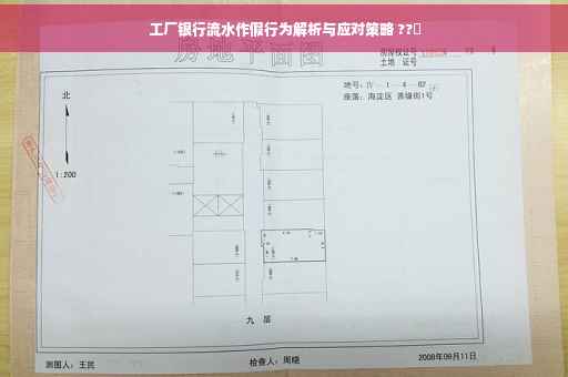 工厂银行流水作假行为解析与应对策略 ??️