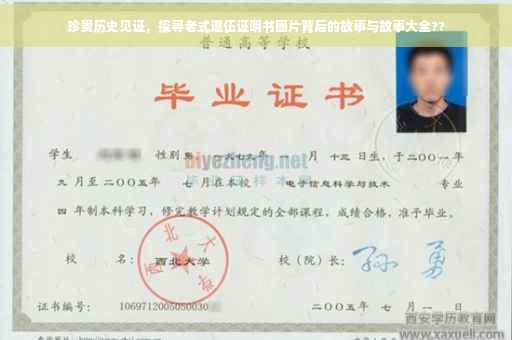 珍贵历史见证，探寻老式退伍证明书图片背后的故事与故事大全??