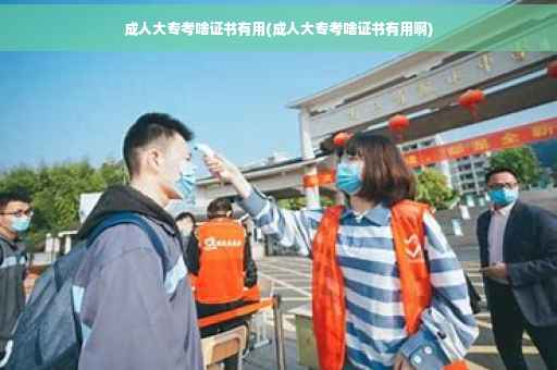 成人大专考啥证书有用(成人大专考啥证书有用啊)