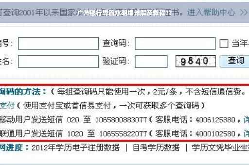 广州银行导流水明细详解及教程??