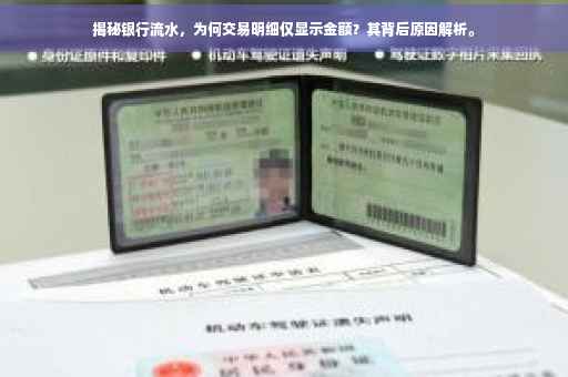 揭秘银行流水，为何交易明细仅显示金额？其背后原因解析。