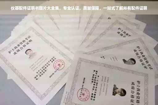 仪器配件证明书图片大全集，专业认证，质量保障，一站式了解所有配件证明