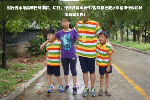银行流水单渠道代码详解，功能、作用及其重要性?探究银行流水单渠道代码的秘密与重要性?