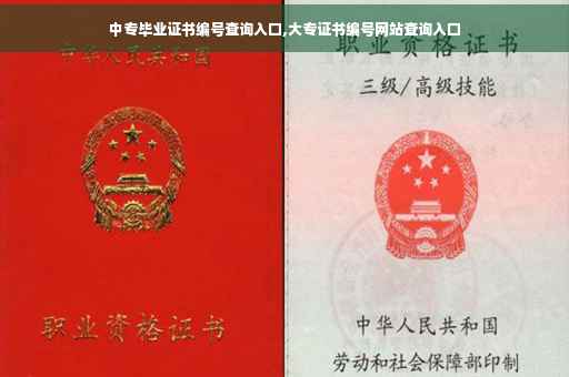 中专毕业证书编号查询入口,大专证书编号网站查询入口