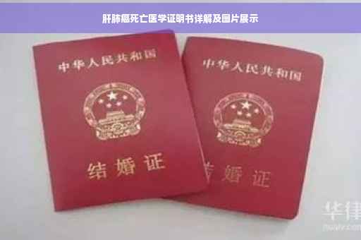 肝肺癌死亡医学证明书详解及图片展示
