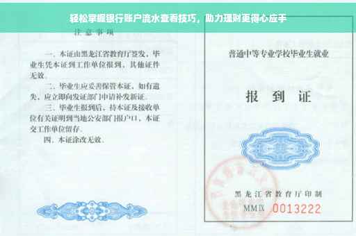 轻松掌握银行账户流水查看技巧，助力理财更得心应手