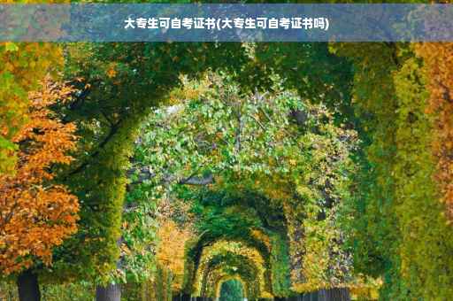 大专生可自考证书(大专生可自考证书吗)