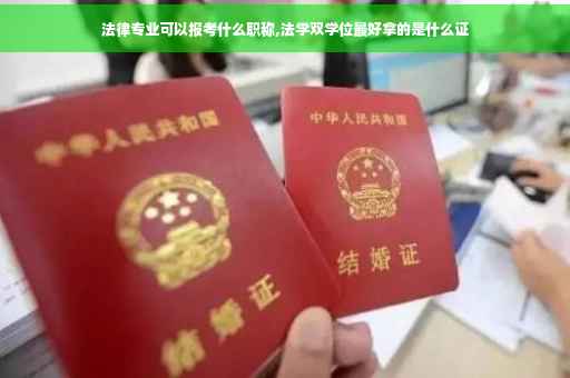 法律专业可以报考什么职称,法学双学位最好拿的是什么证